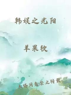 韩娱之光阳