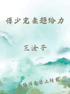 傅少宠妻超给力